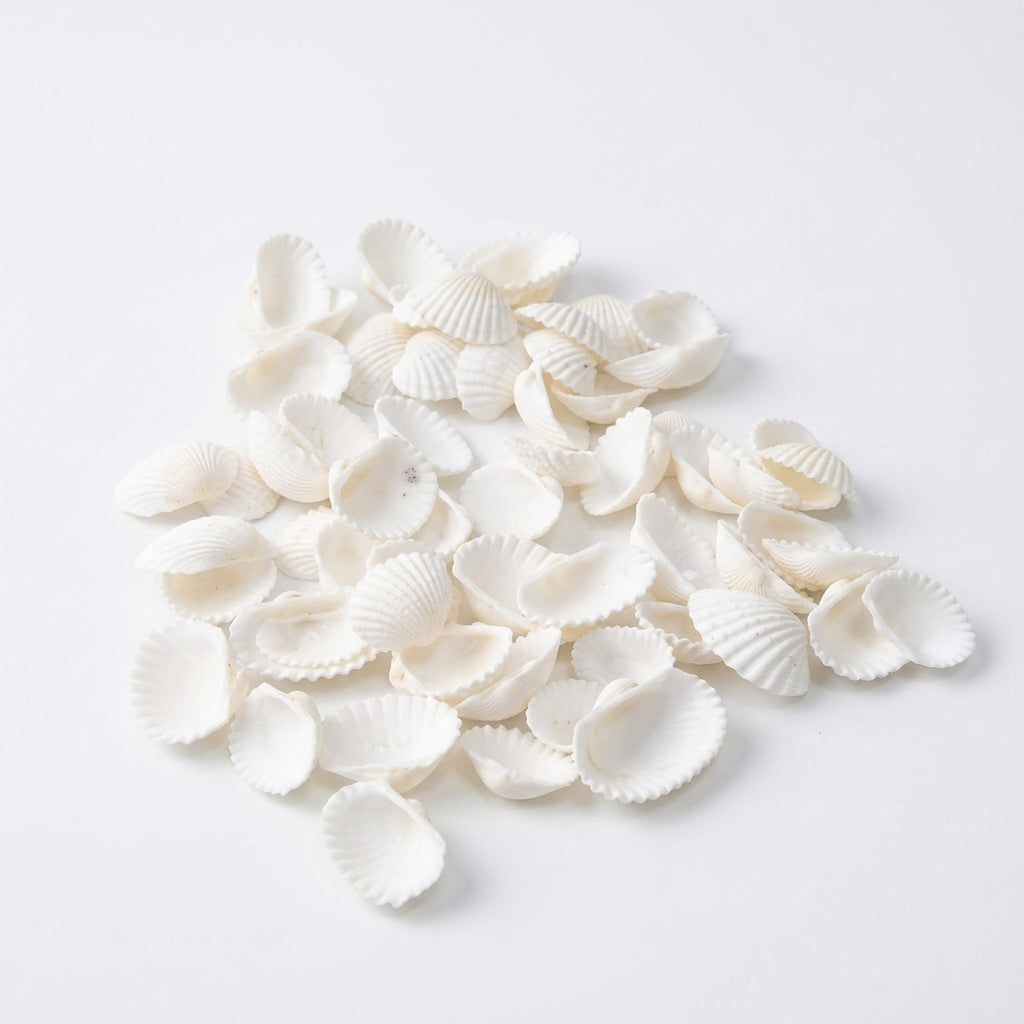 White Shells for Candle Making – 50g Packet | Melt & Mold – front view