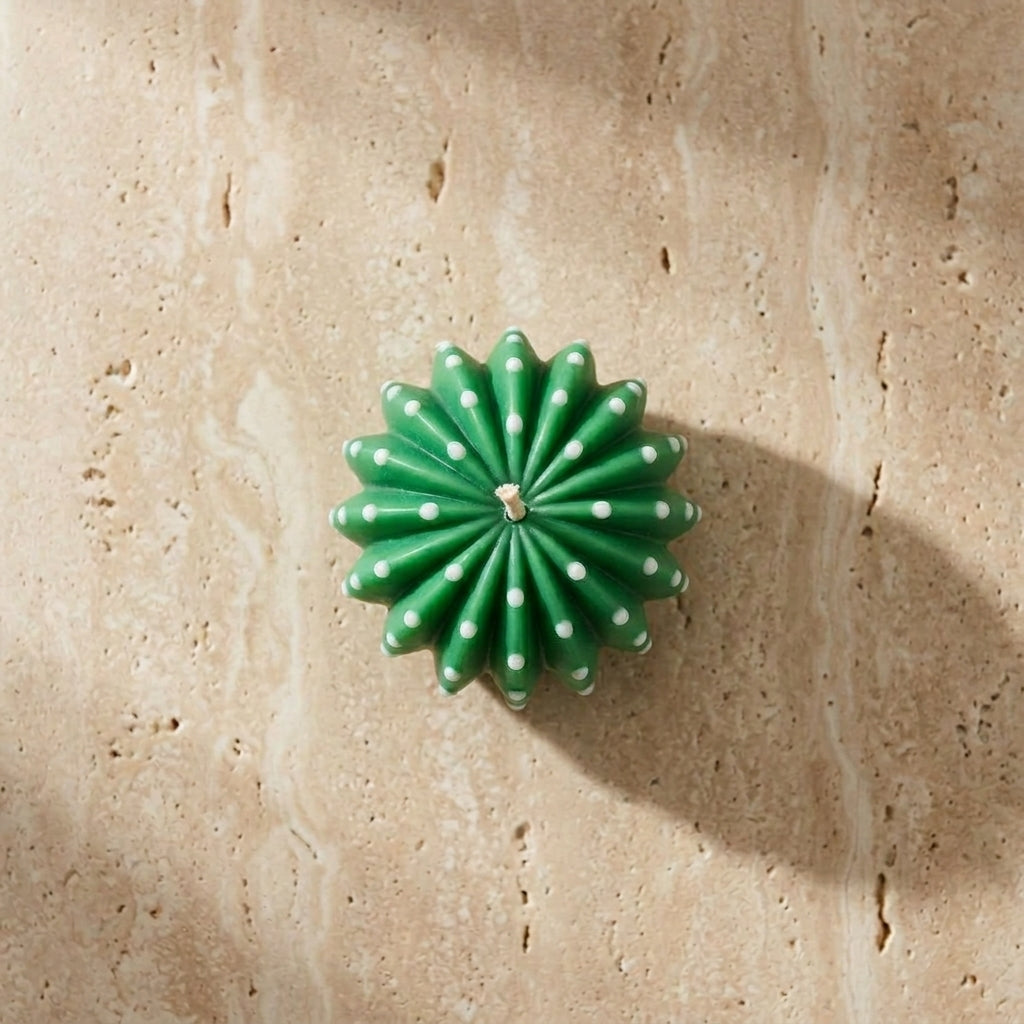 Succulent Mould 3 – Close-Up | Melt & Mold