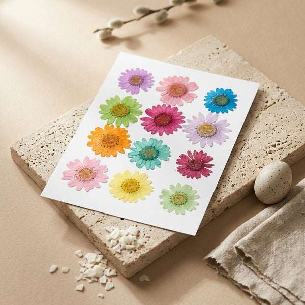 Daisy Flower Pressed Sheet – front view